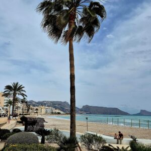 Altea 